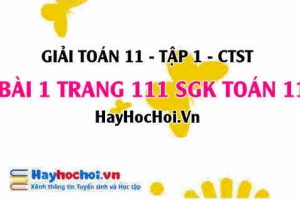 Giải bài 1 trang 111 Toán 11 tập 1 SGK Chân trời sáng tạo
